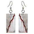 Red Hurt Told Plainly Earrings | FWX478