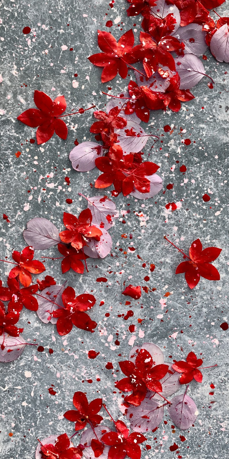 Red Persistence on Stone Earrings | FWX490