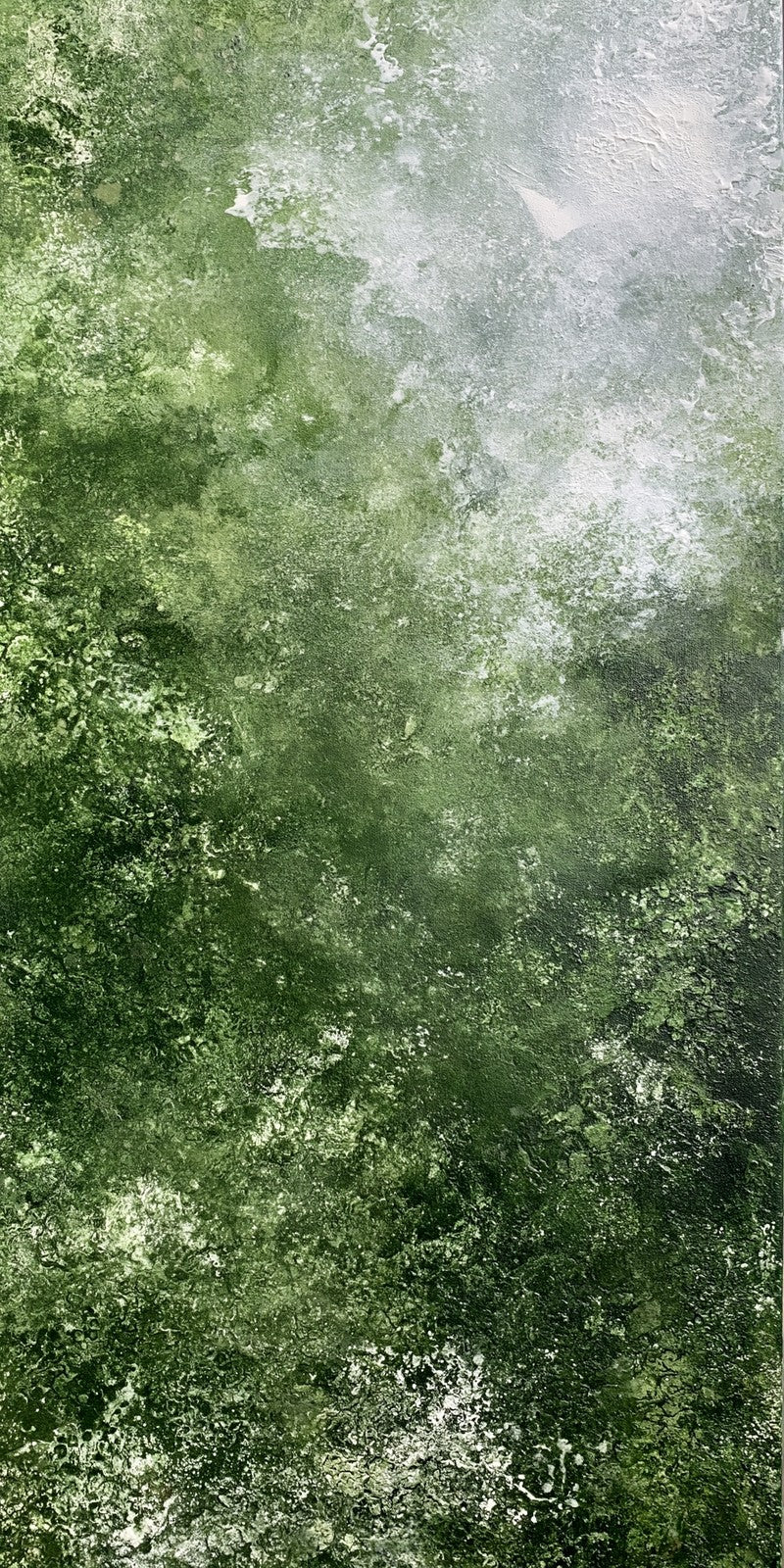 Peace in Misty Green Earrings | FWX512