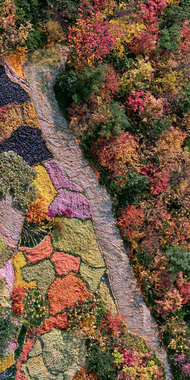 Wandering in Autumn Red Earrings | FWX577