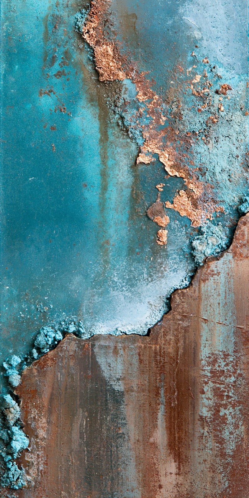 Turquoise Rust Resilience Earrings | FWX619