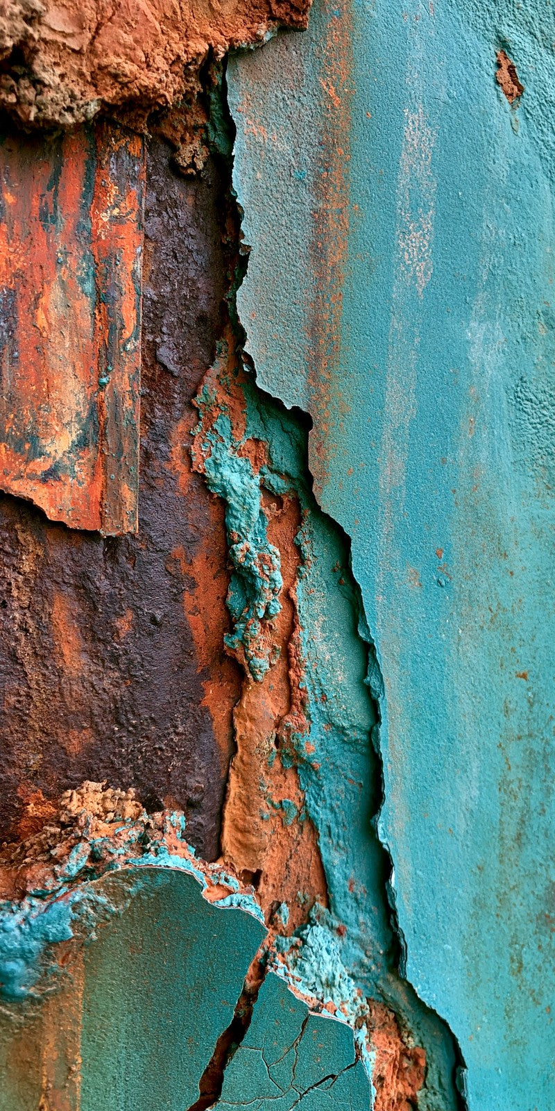 Rust-Worn Nostalgia Earrings | FWX686