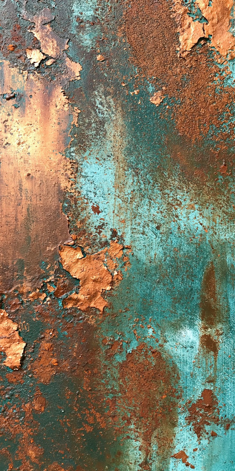 Copper Weathered Tenderness Earrings | FWX687