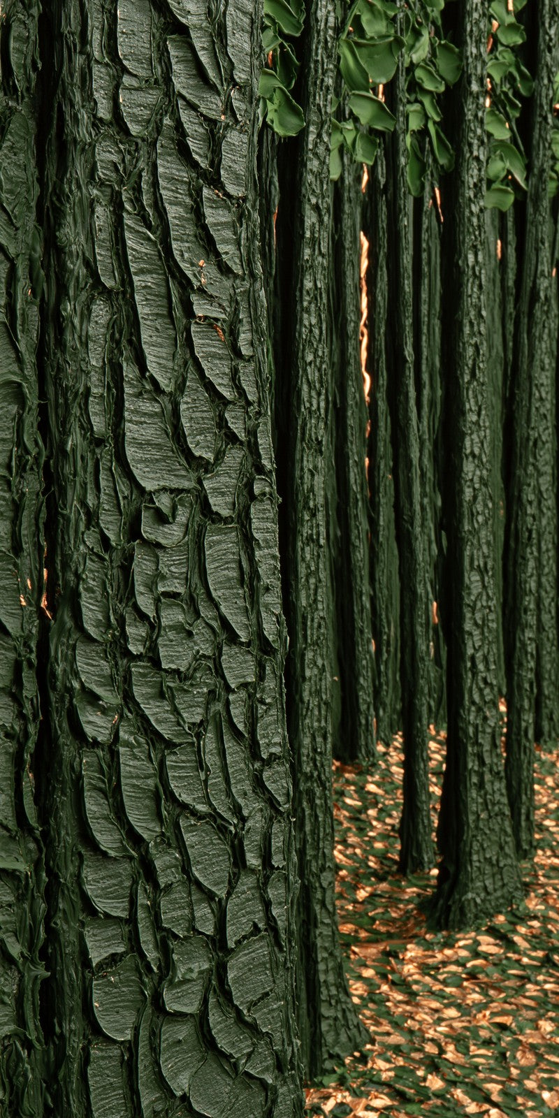 Pine Bark Rootedness Earrings | FWX792