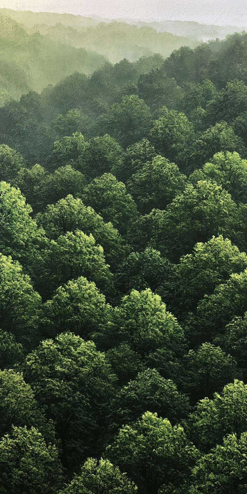 Canopy Abundance Earrings | FWX840
