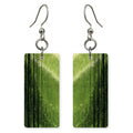 Lime Light Hopefulness Earrings | FWX883