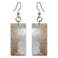 Silver Solitude Accepted Earrings | FWX954