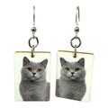 Fragile What | Fancy Cat Collection | 11x136