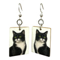 Fragile What | House Cat Collection | 11x135