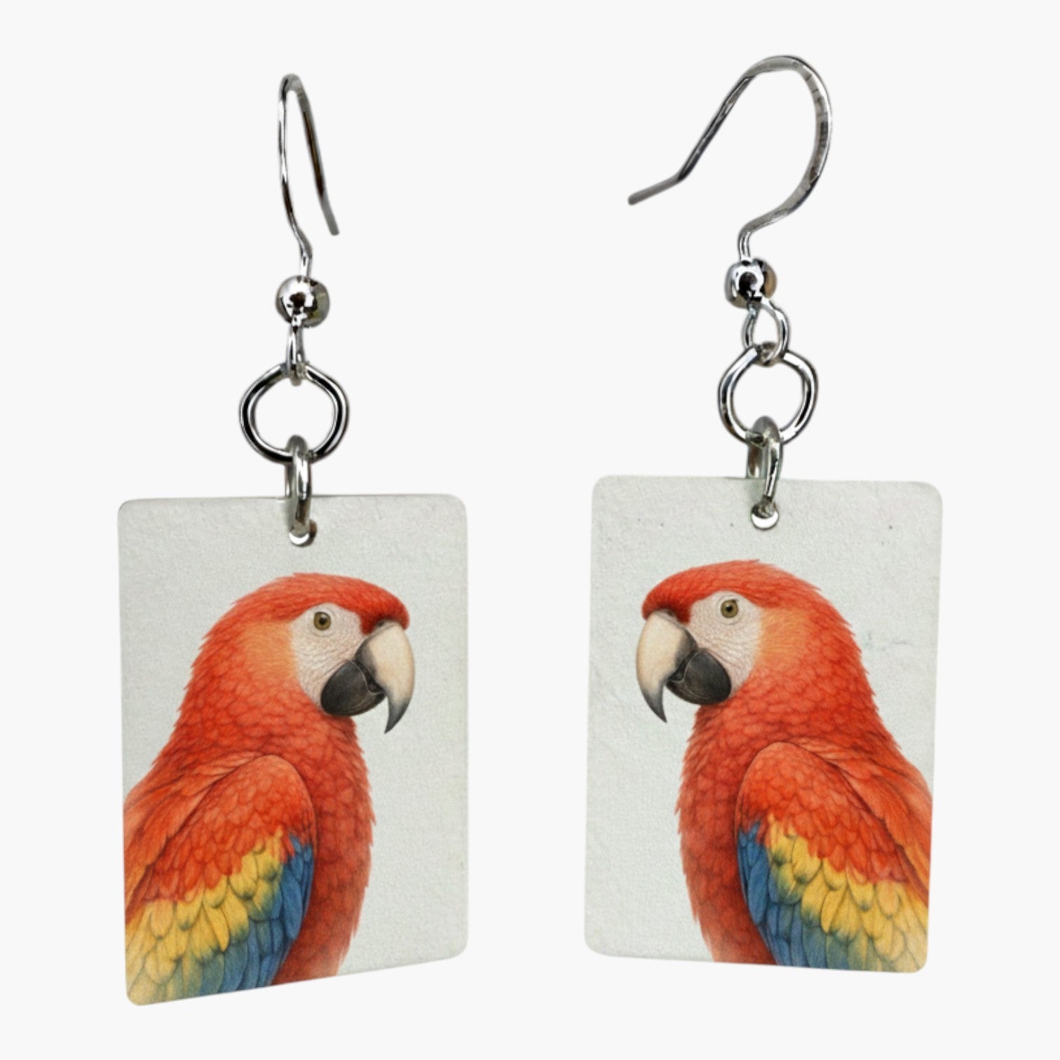 Fragile What | Zoo Bird Collection | #11x15