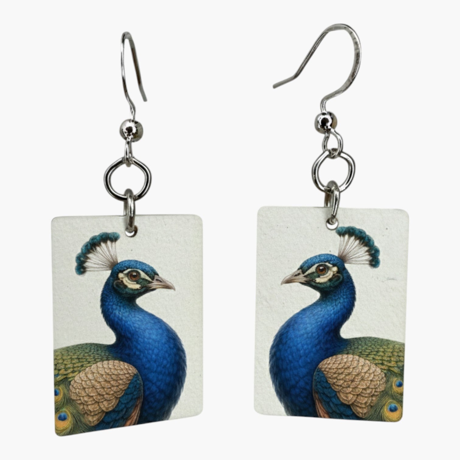 Fragile What | Zoo Bird Collection | #11x15
