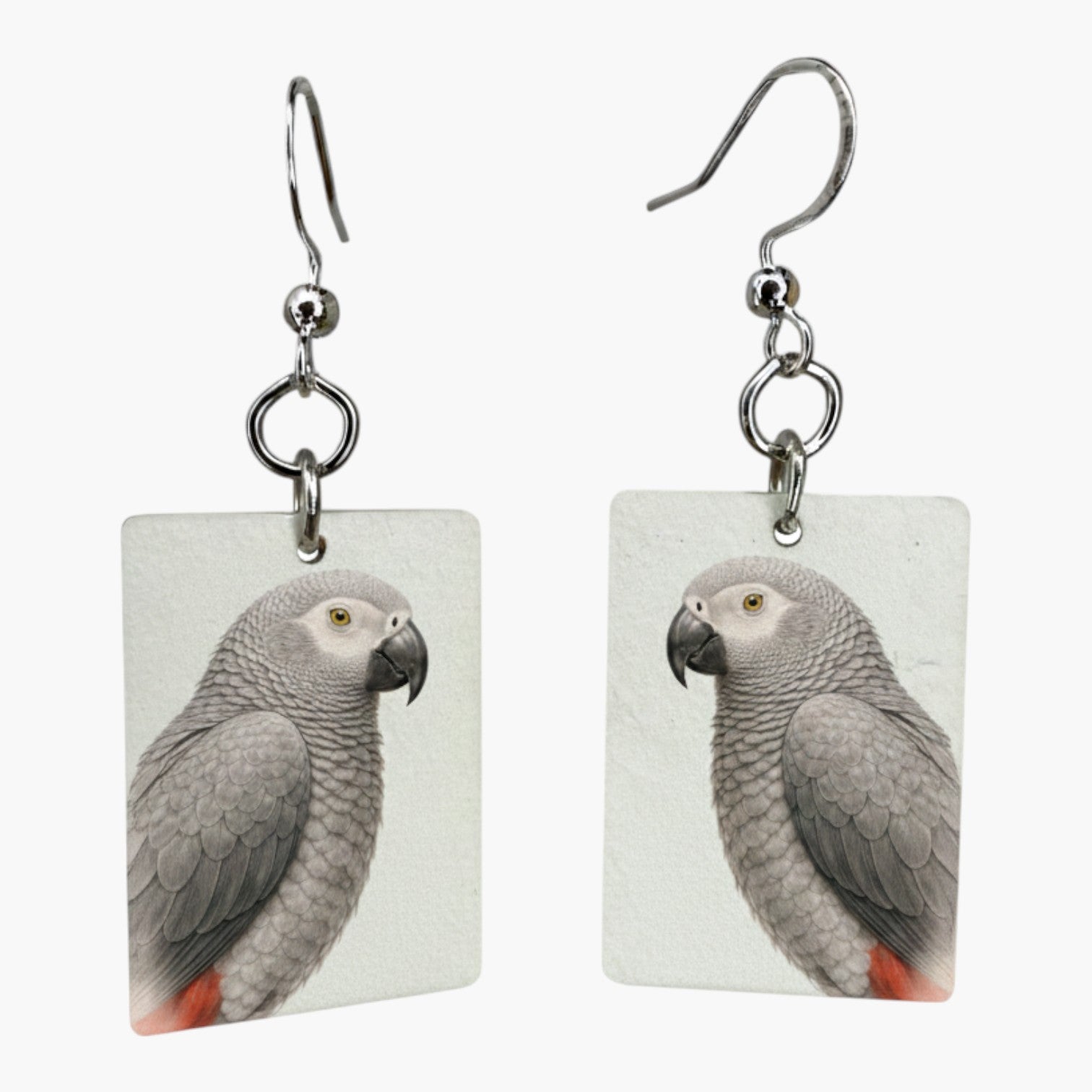 Fragile What | Zoo Bird Collection | #11x15