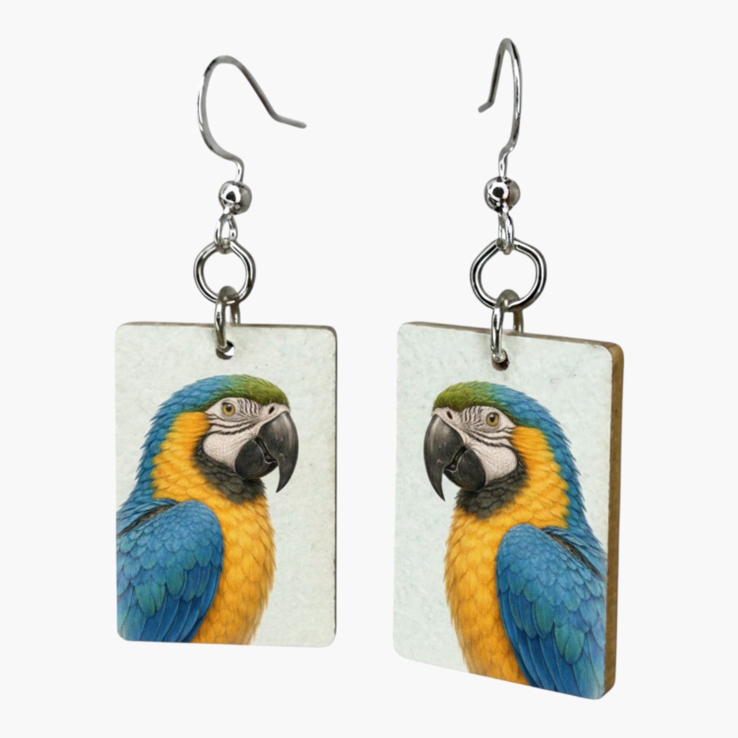 Fragile What | Zoo Bird Collection | #11x15
