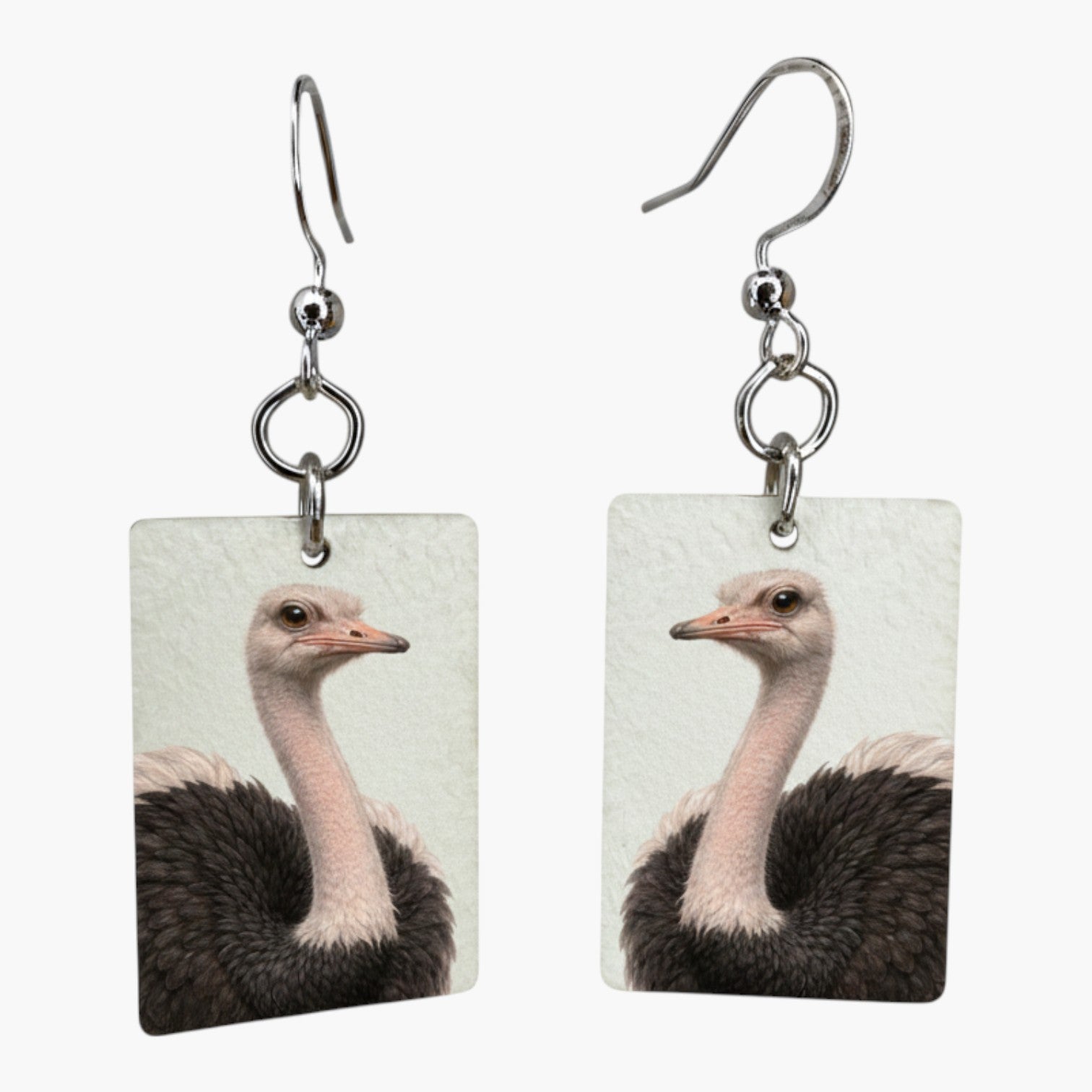 Fragile What | Zoo Bird Collection | #11x15
