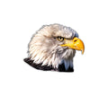 Eagle Head Magnet #M029