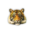 Tiger Magnet #M031