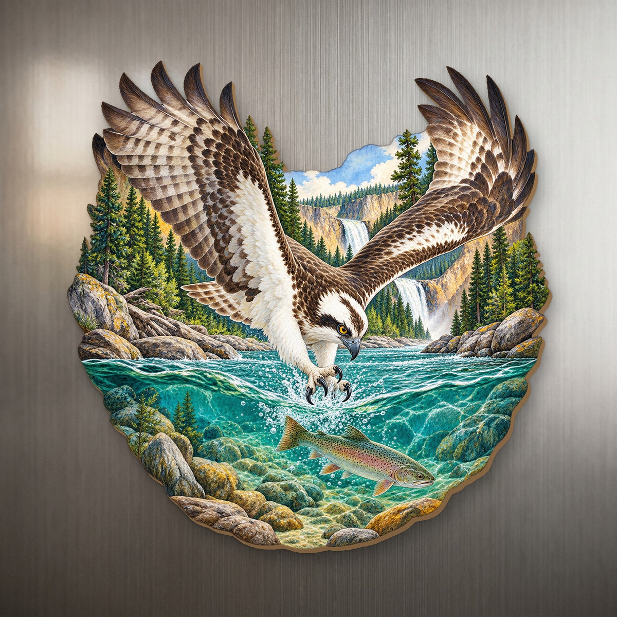 Osprey River Dive wood magnet M148 on a stainless steel fridge, made in USA
