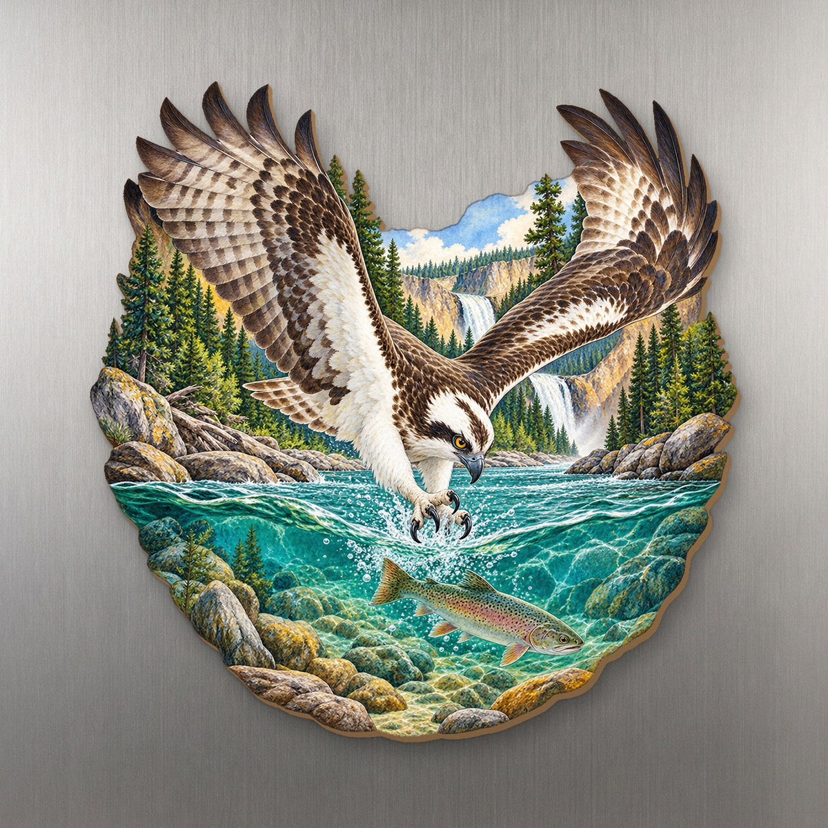 Osprey River Dive wood magnet M148 on a stainless steel fridge, made in USA