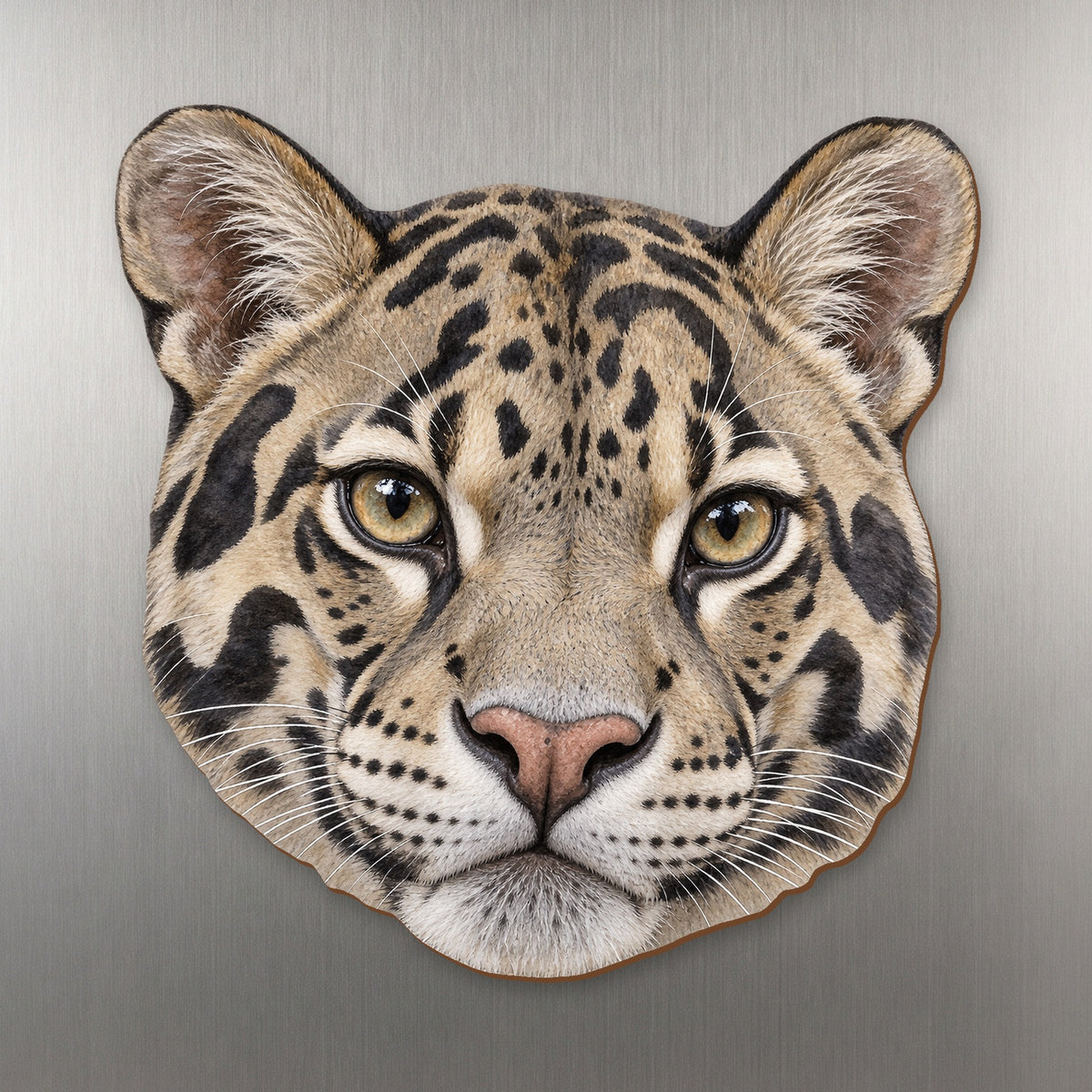 Clouded Leopard face wood magnet, shown on stainless steel.