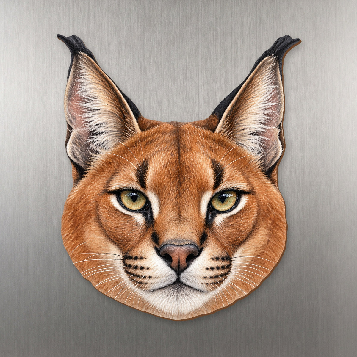 Caracal face wood magnet, shown on stainless steel.