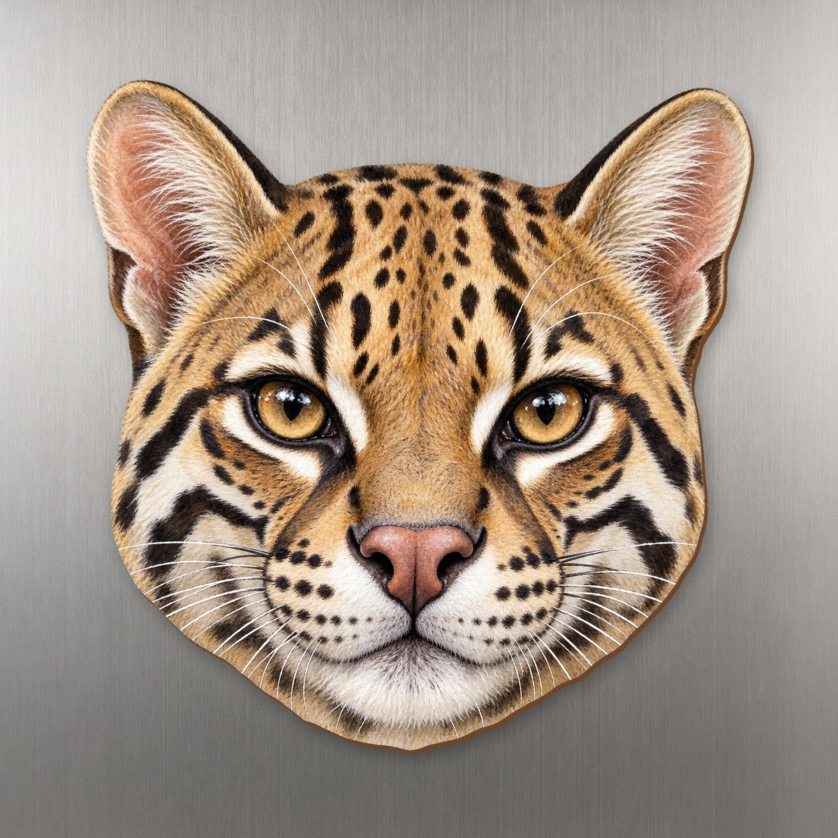 Ocelot face wood magnet, shown on stainless steel.
