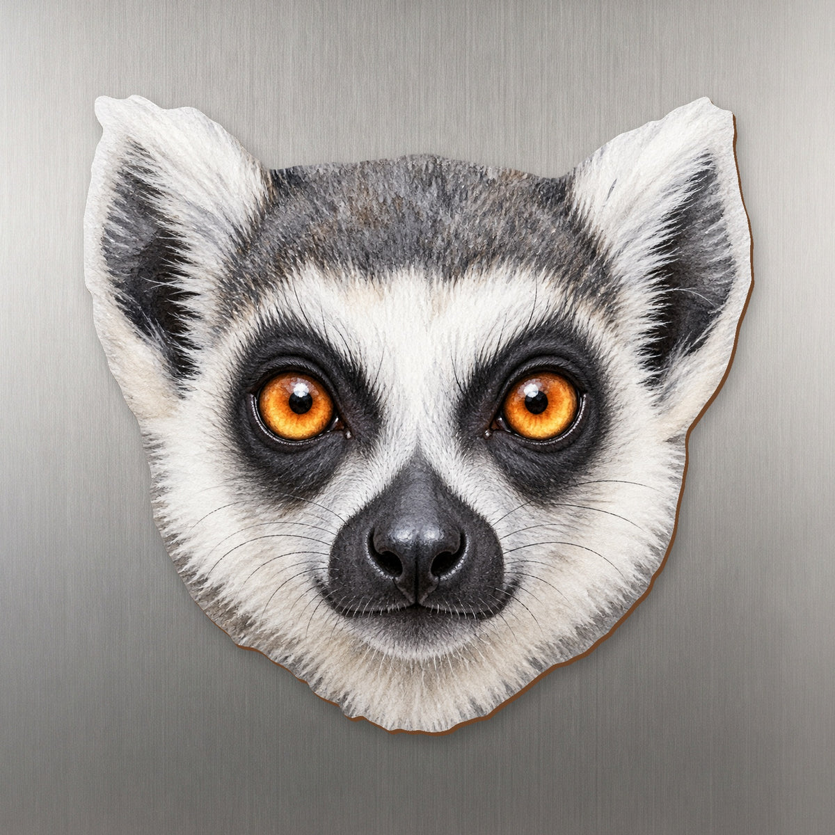 Ring-tailed Lemur face wood magnet, shown on stainless steel.