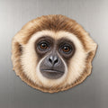 White-handed Gibbon face wood magnet, shown on stainless steel.