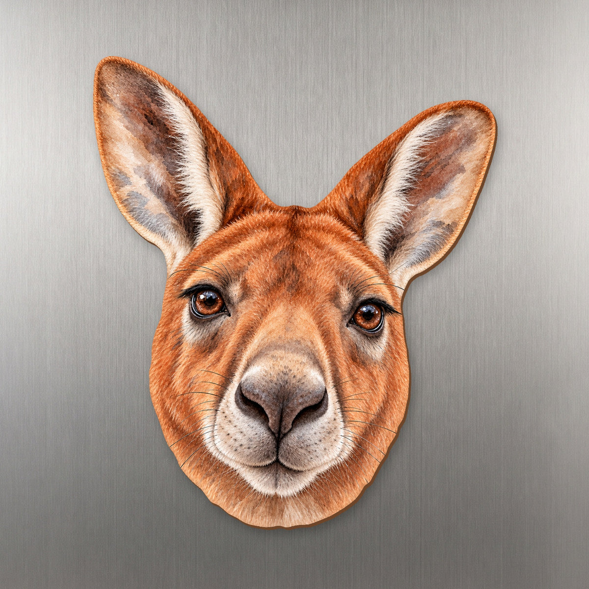 Red Kangaroo face wood magnet, shown on stainless steel.