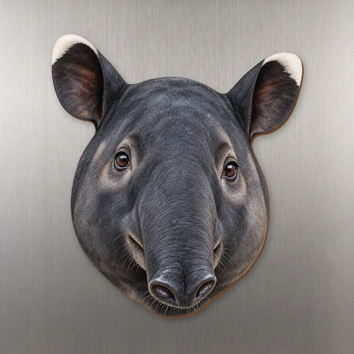 Malayan Tapir face wood magnet, shown on stainless steel.