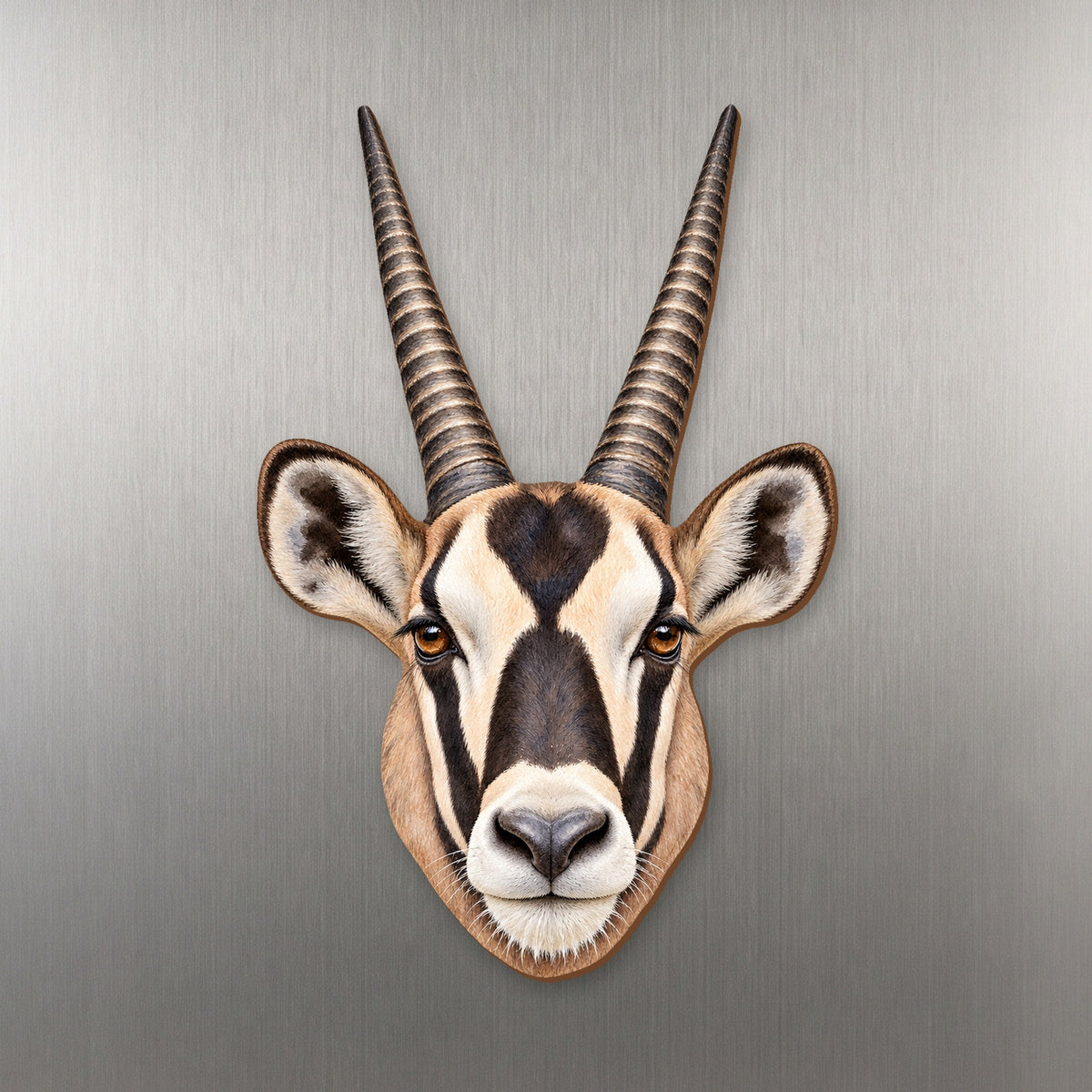Gemsbok face wood magnet, shown on stainless steel.