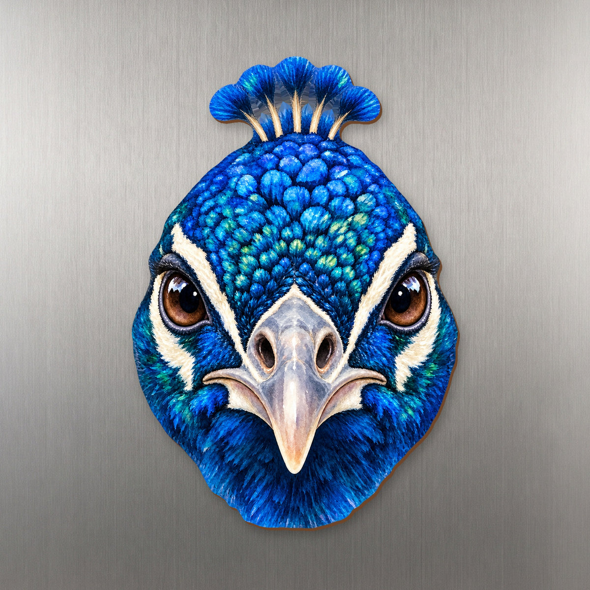 Peacock face wood magnet, shown on stainless steel.