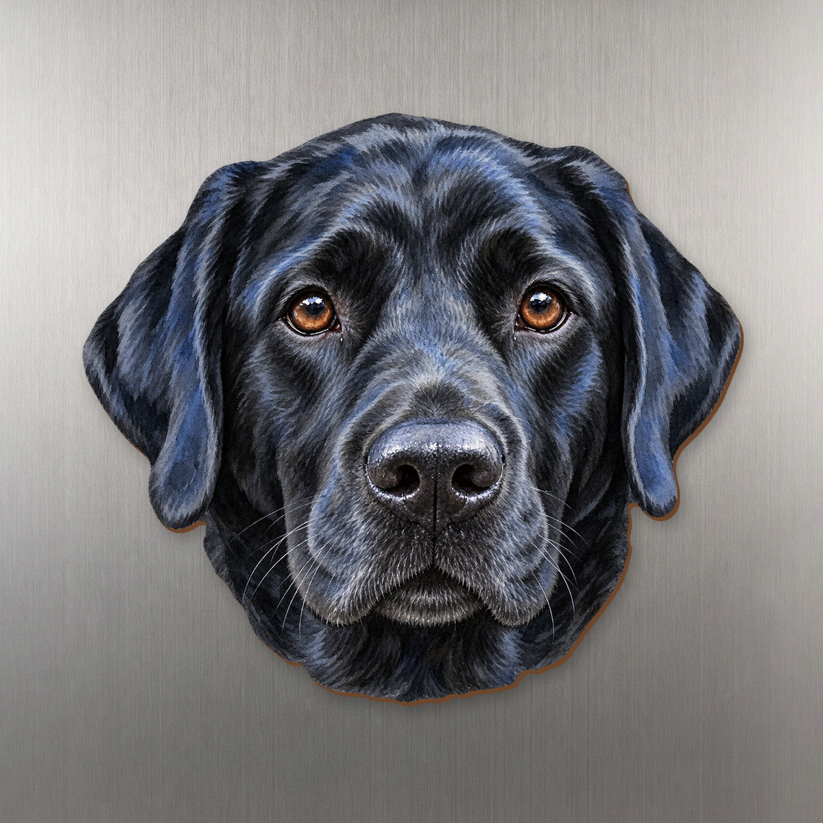 Labrador Retriever face wood magnet, shown on stainless steel.