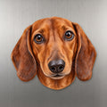 Dachshund face wood magnet, shown on stainless steel.