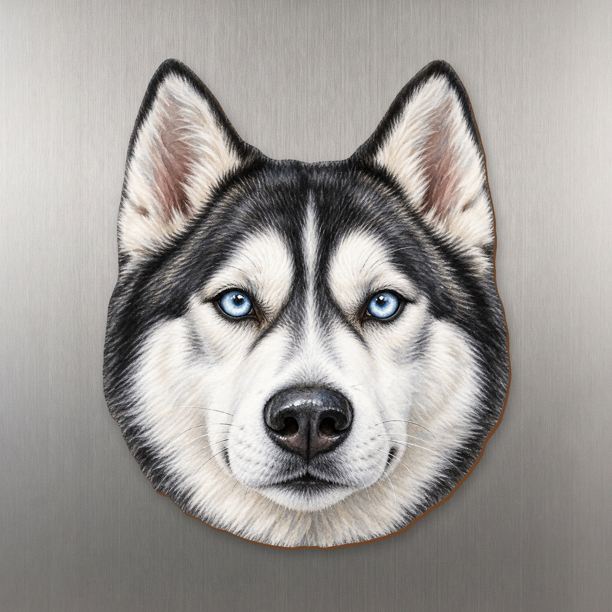 Siberian Husky face wood magnet, shown on stainless steel.