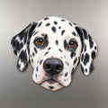 Dalmatian face wood magnet, shown on stainless steel.