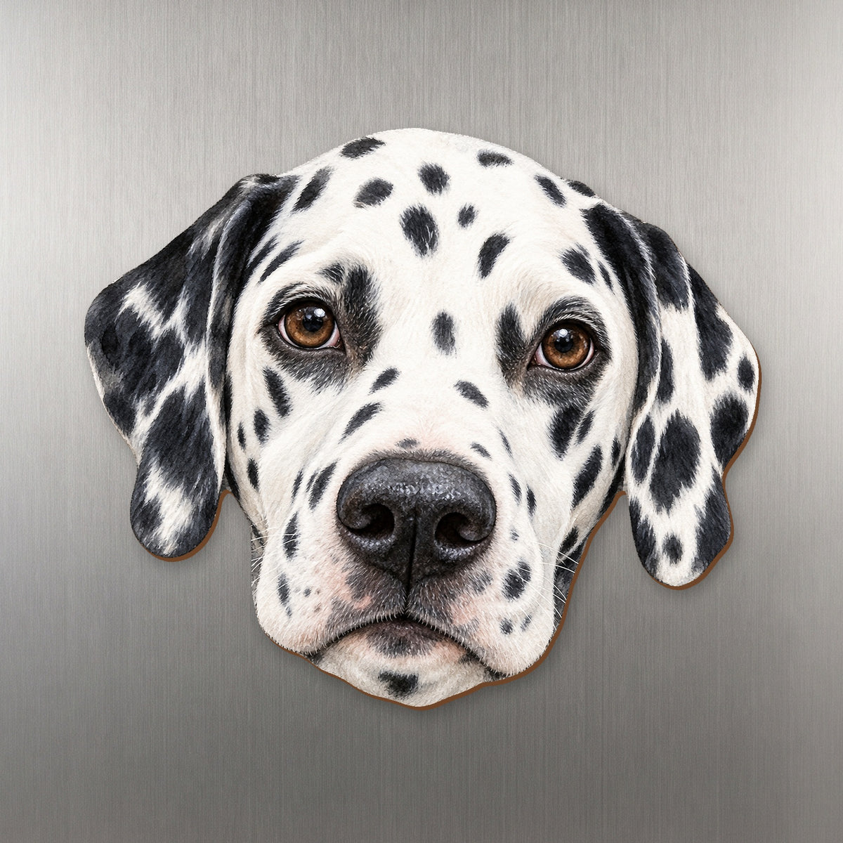 Dalmatian face wood magnet, shown on stainless steel.