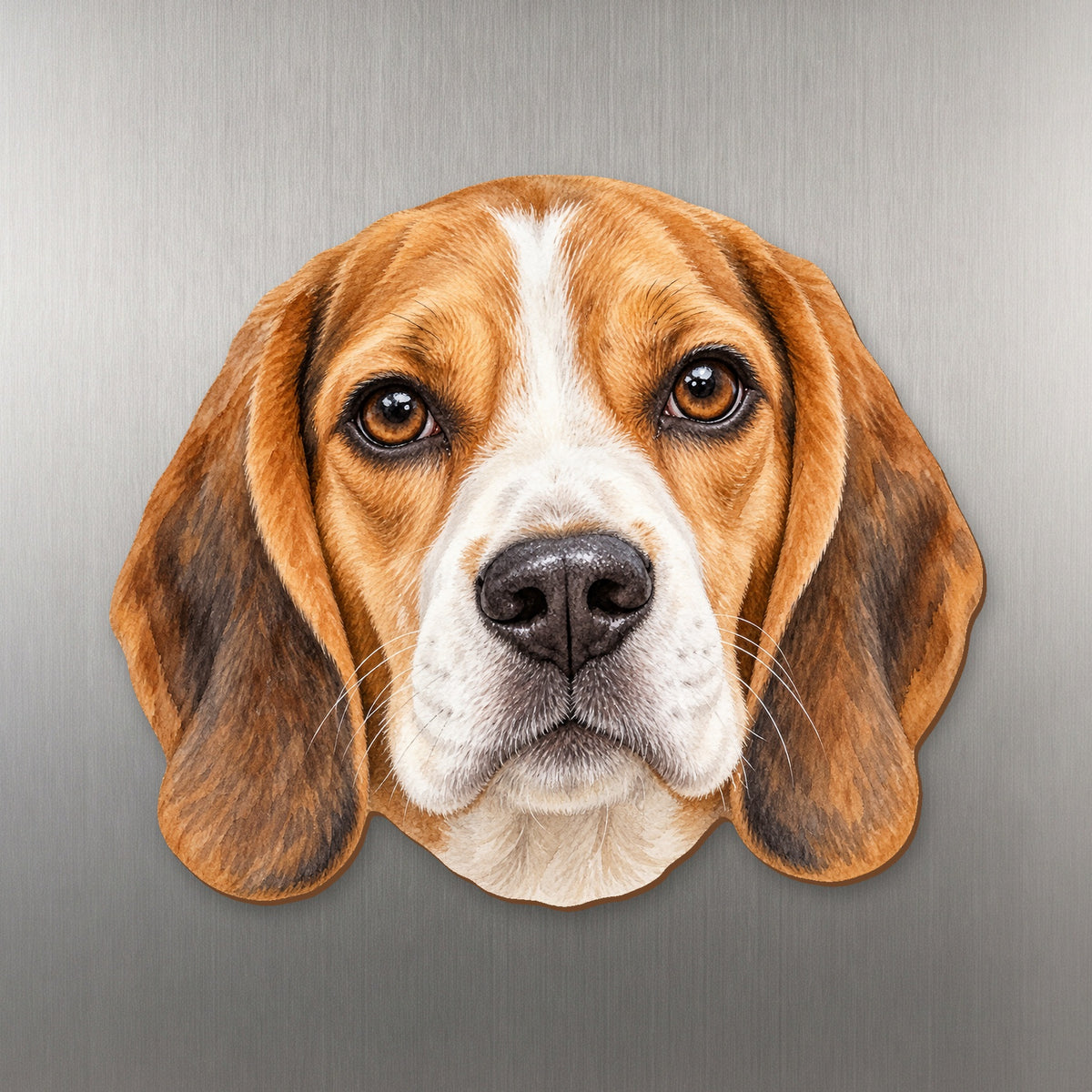 Beagle face wood magnet, shown on stainless steel.