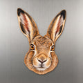 Brown Hare face wood magnet, shown on stainless steel.