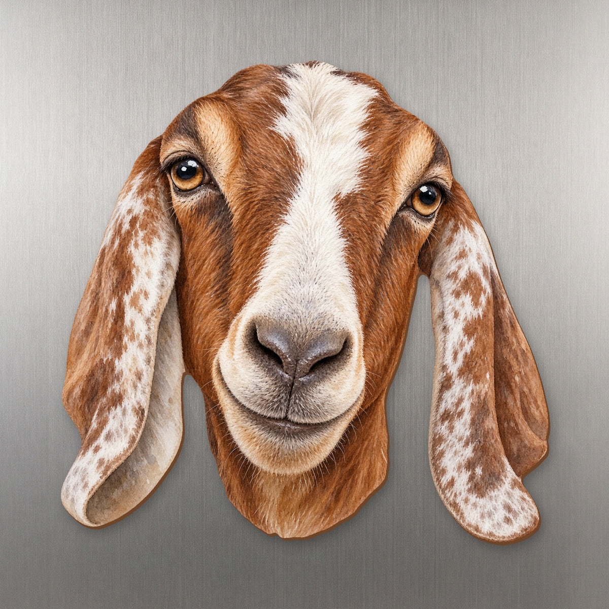 Nubian Goat face wood magnet, shown on stainless steel.