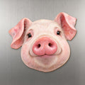 Pig face wood magnet, shown on stainless steel.