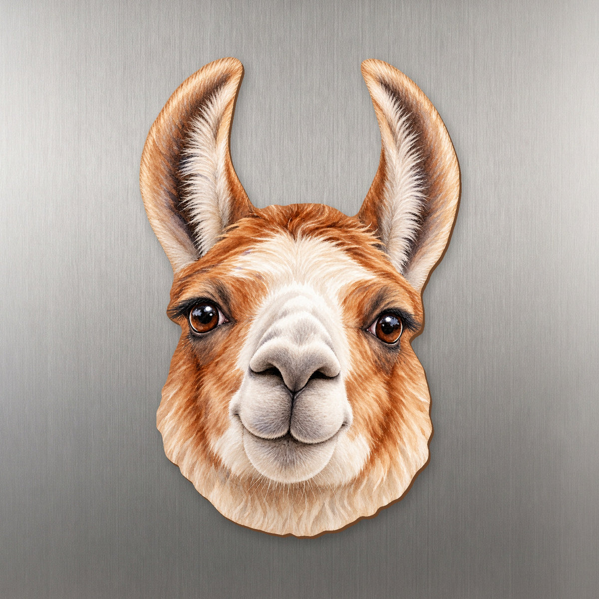 Llama face wood magnet, shown on stainless steel.