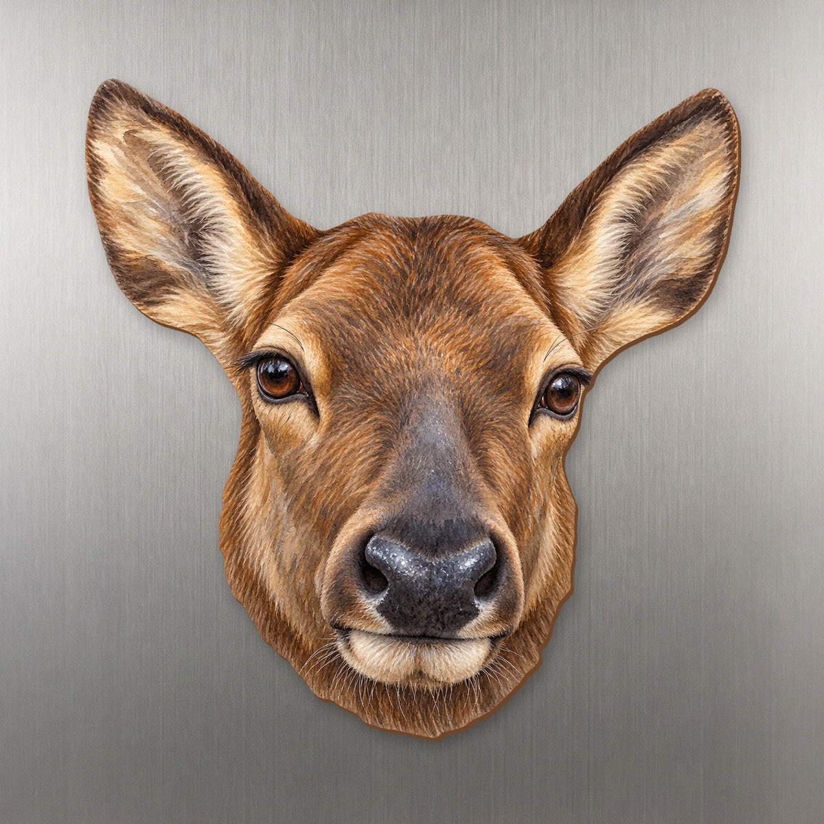 Elk face wood magnet, shown on stainless steel.