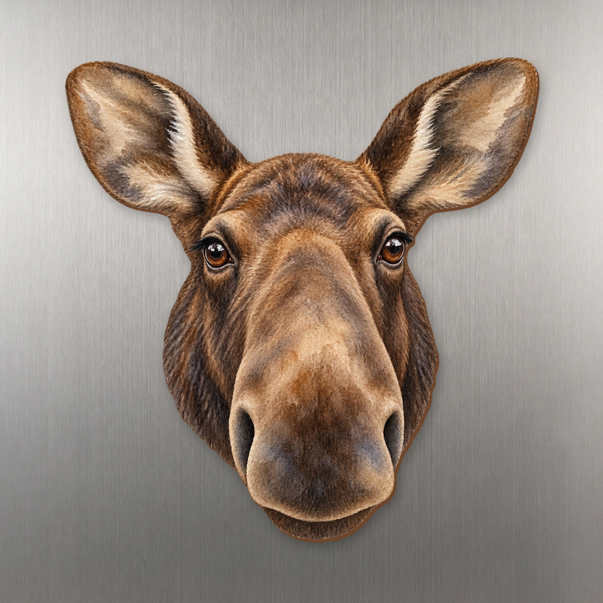 Moose face wood magnet, shown on stainless steel.