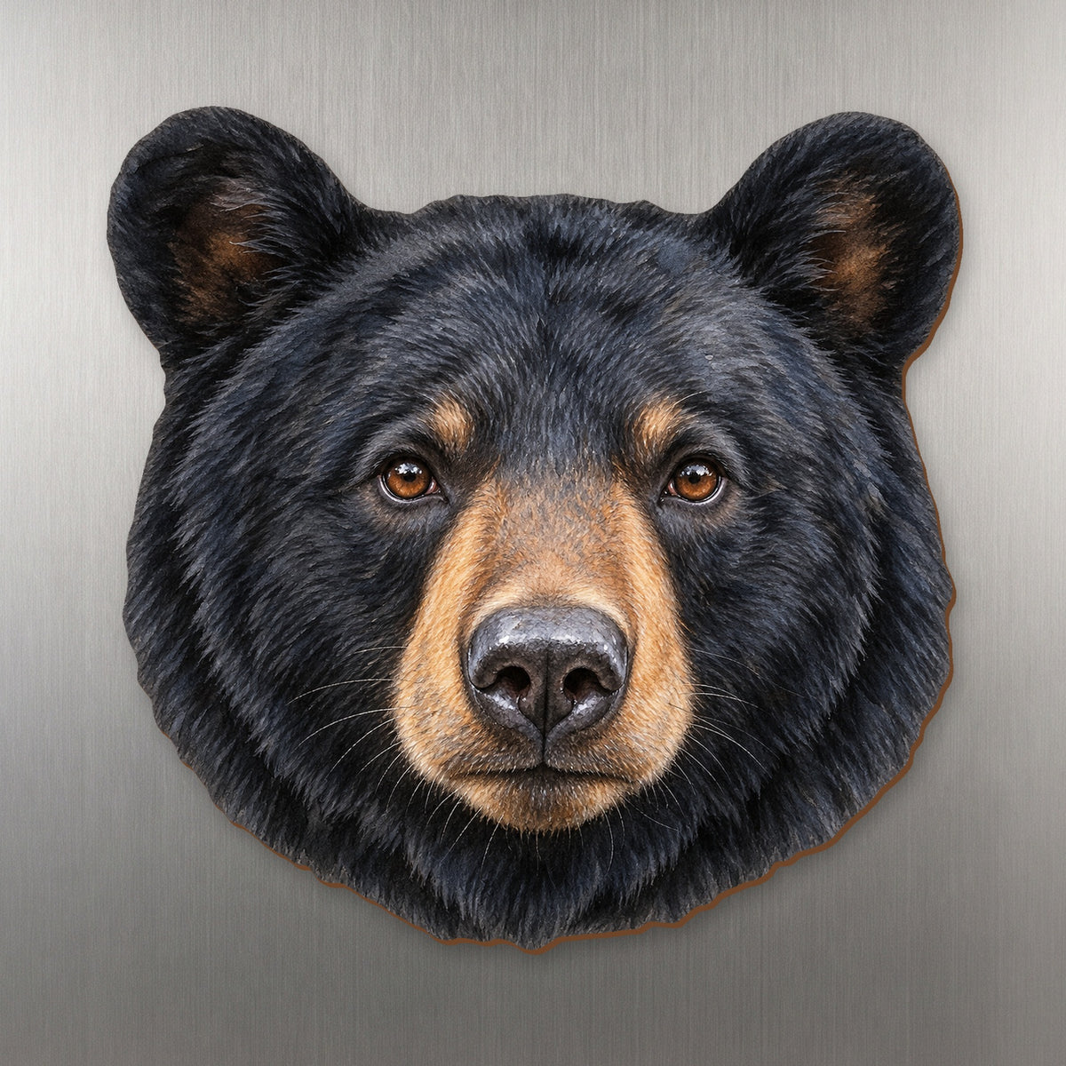Black Bear face wood magnet, shown on stainless steel.