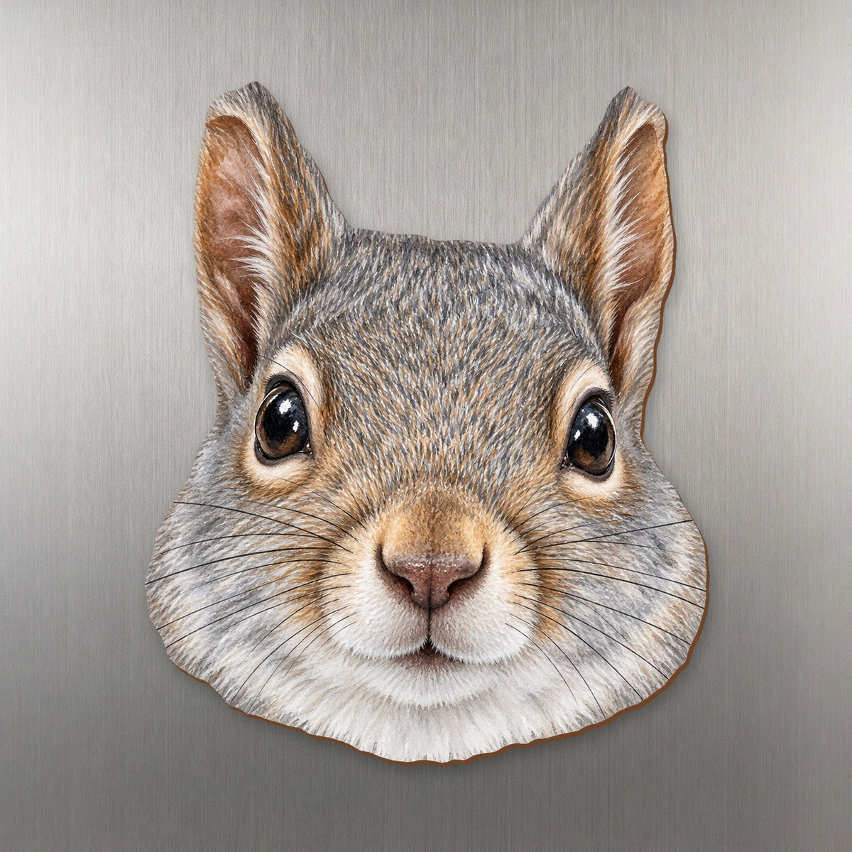 Gray Squirrel face wood magnet, shown on stainless steel.