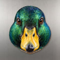 Mallard Duck face wood magnet, shown on stainless steel.