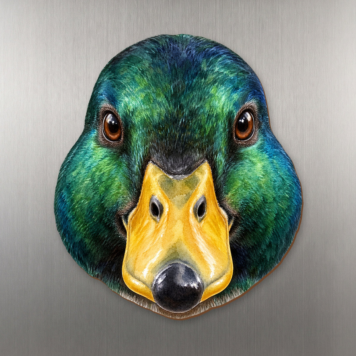 Mallard Duck face wood magnet, shown on stainless steel.