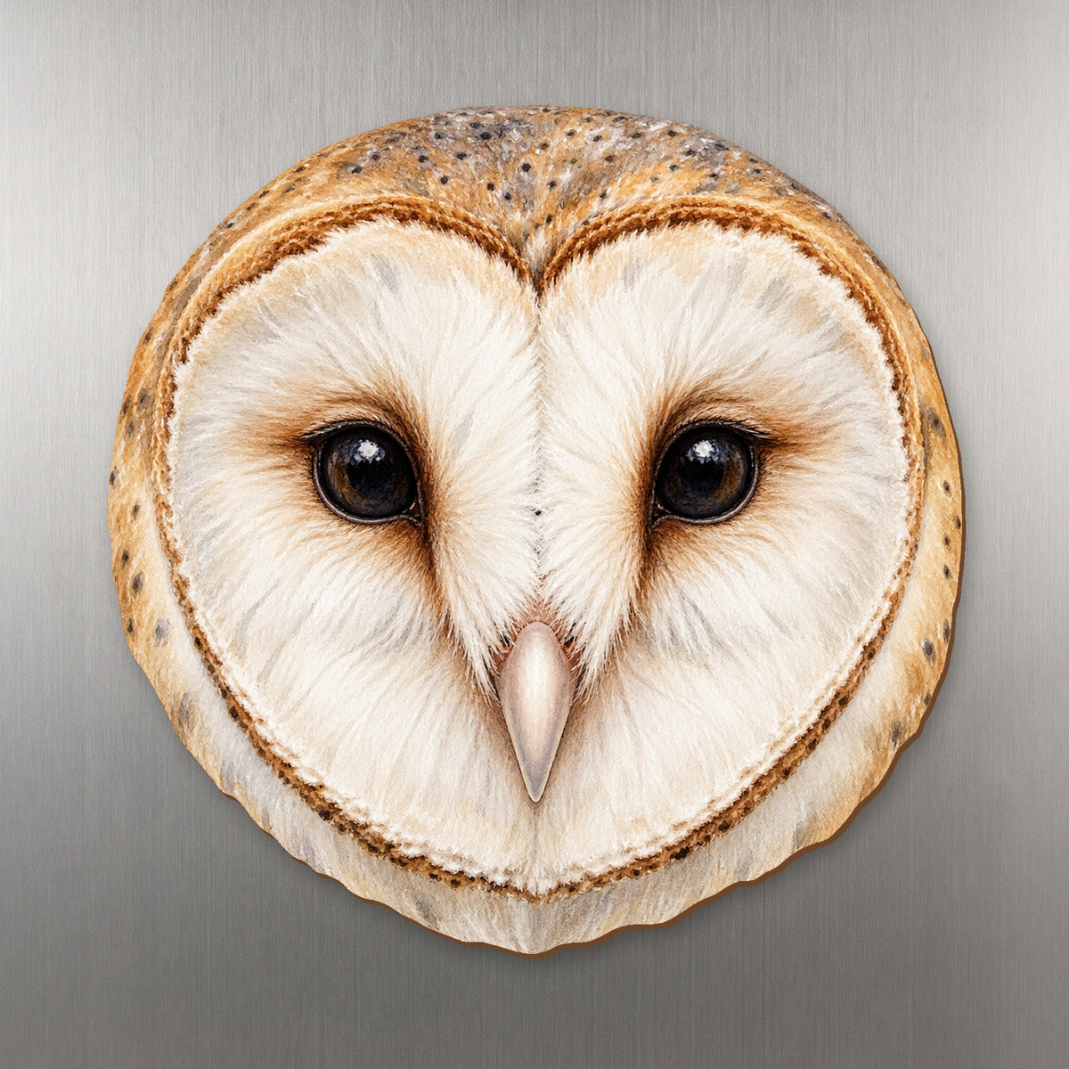 Barn Owl face wood magnet, shown on stainless steel.