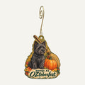 OZ Museum Town Icon custom wood ornament OC130 hanging on hook