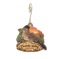 Patriot Store — Local inspiration custom wood ornament OC1573, photographic gold spiral hook